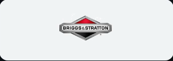 Briggs and Stratton